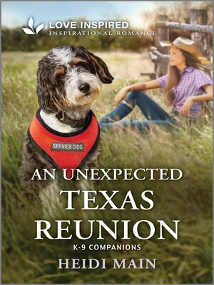 cover image of An Unexpected Texas Reunion